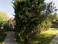 Hotel Vigna Del Mare